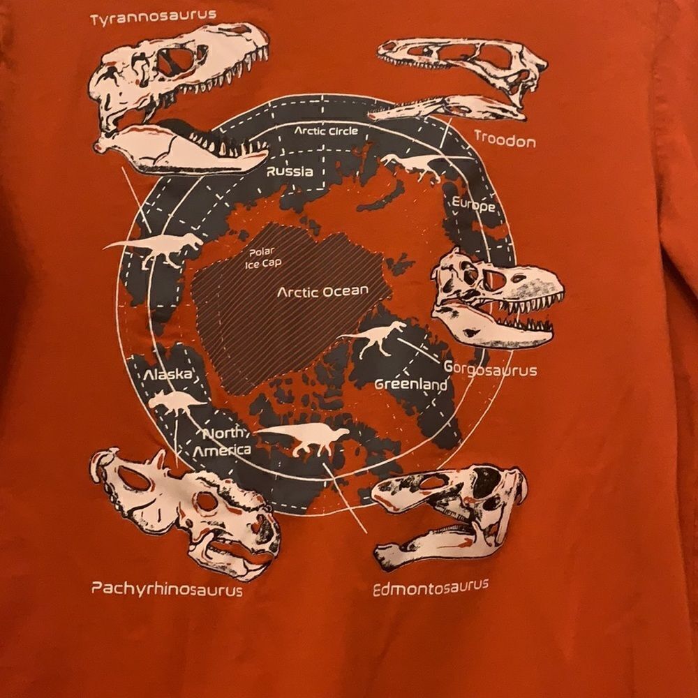 3/$30 Lands End boys long sleeve tee. Dinosaur design. Size XL - Picture 2 of 5